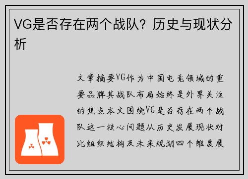 VG是否存在两个战队？历史与现状分析