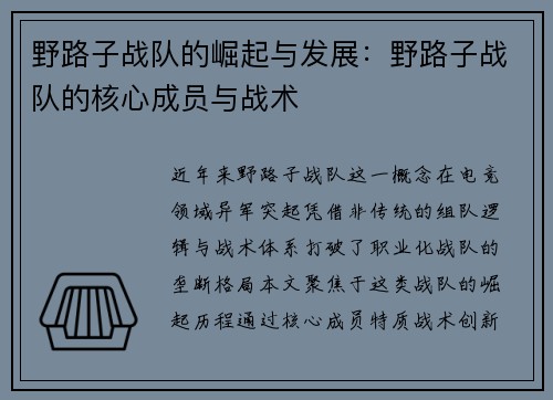 野路子战队的崛起与发展：野路子战队的核心成员与战术