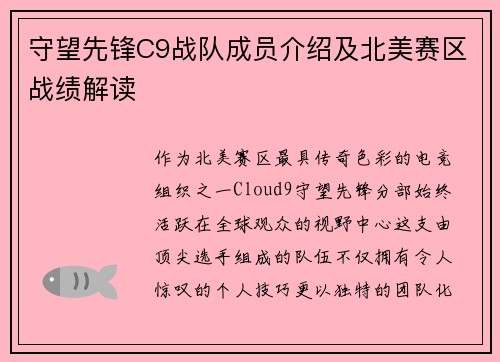 守望先锋C9战队成员介绍及北美赛区战绩解读