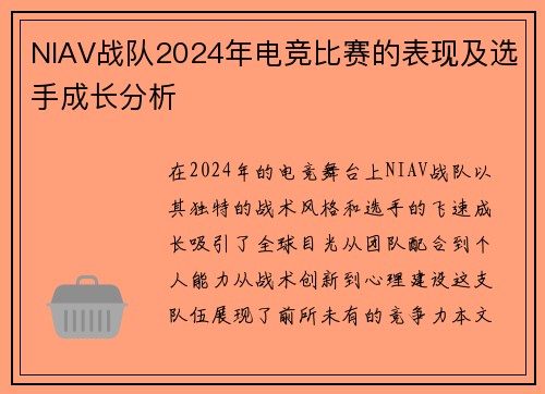 NIAV战队2024年电竞比赛的表现及选手成长分析